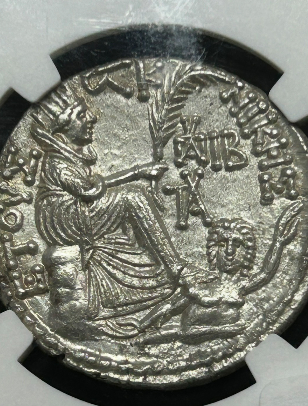 Augustus Birth year Back